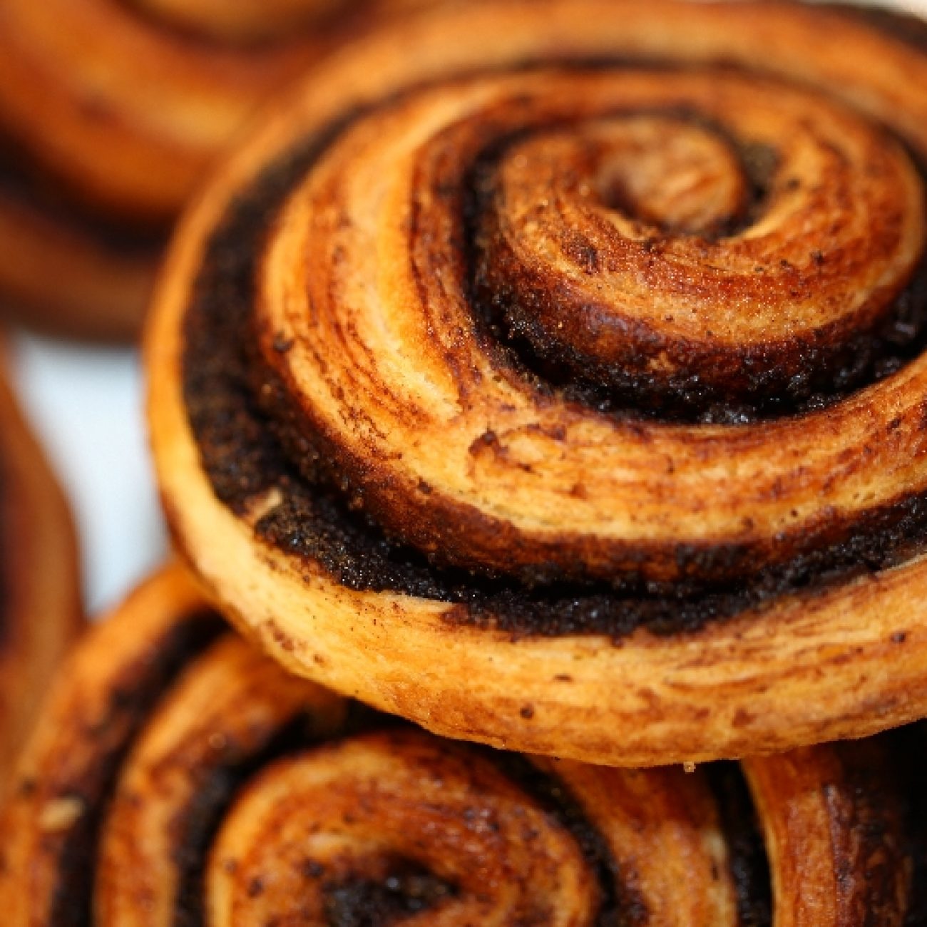Chocolate Roll
