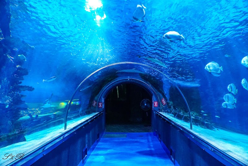 Tropicarium